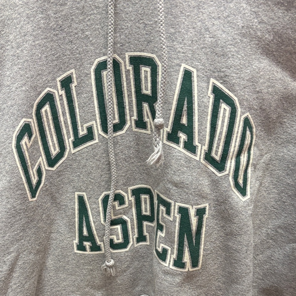 Gray brandy Colorado Aspen hoodie